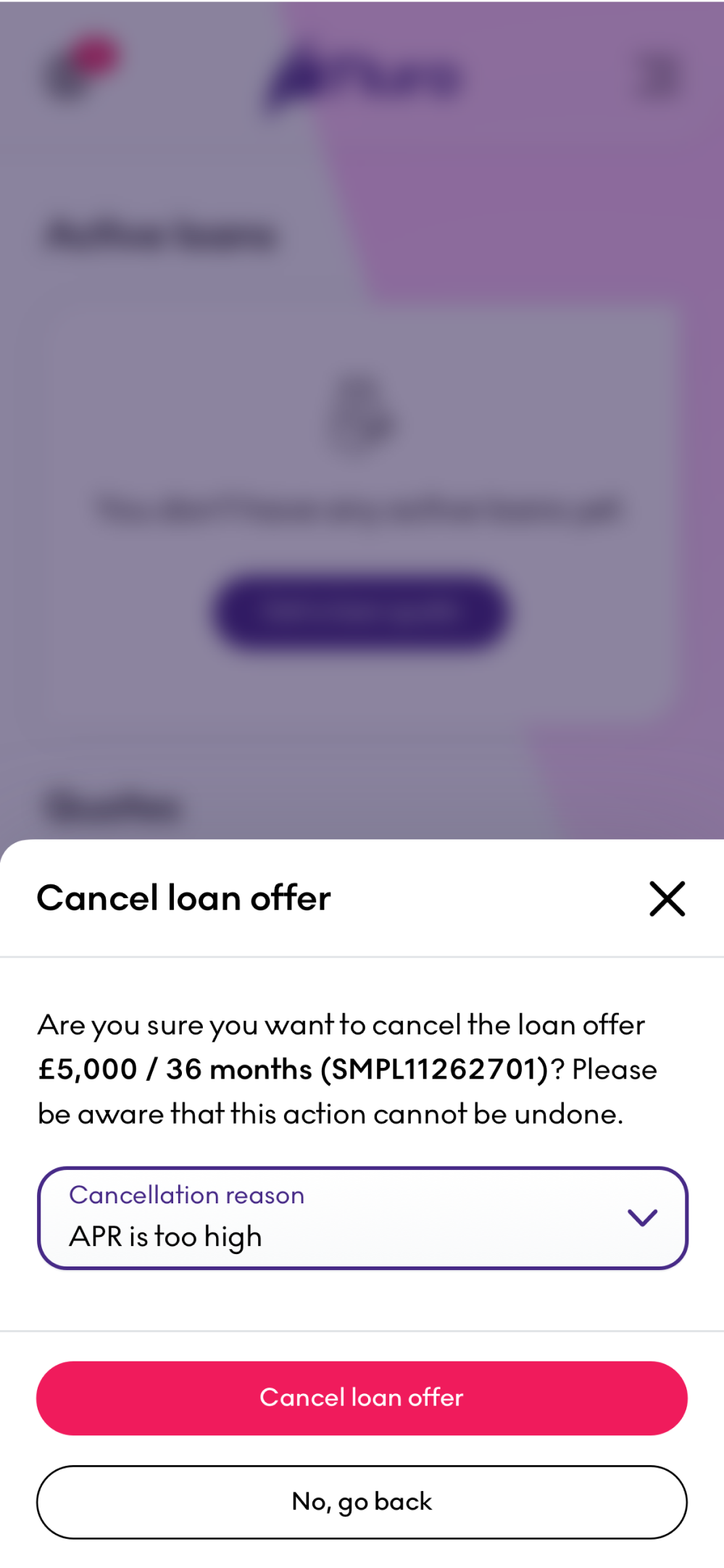 borrower-portal-screenshot-26