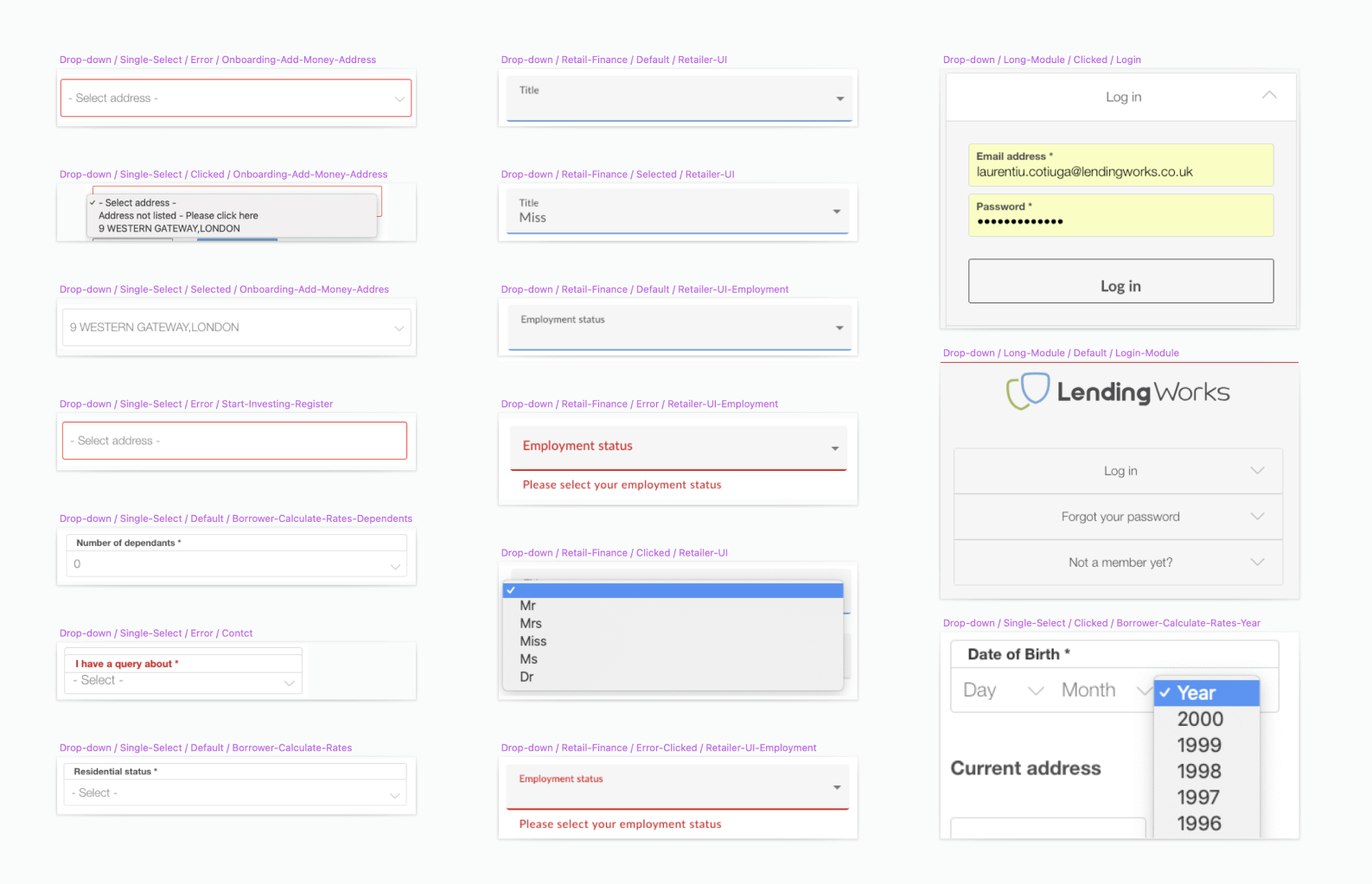 fluro-design-system-screenshot-01