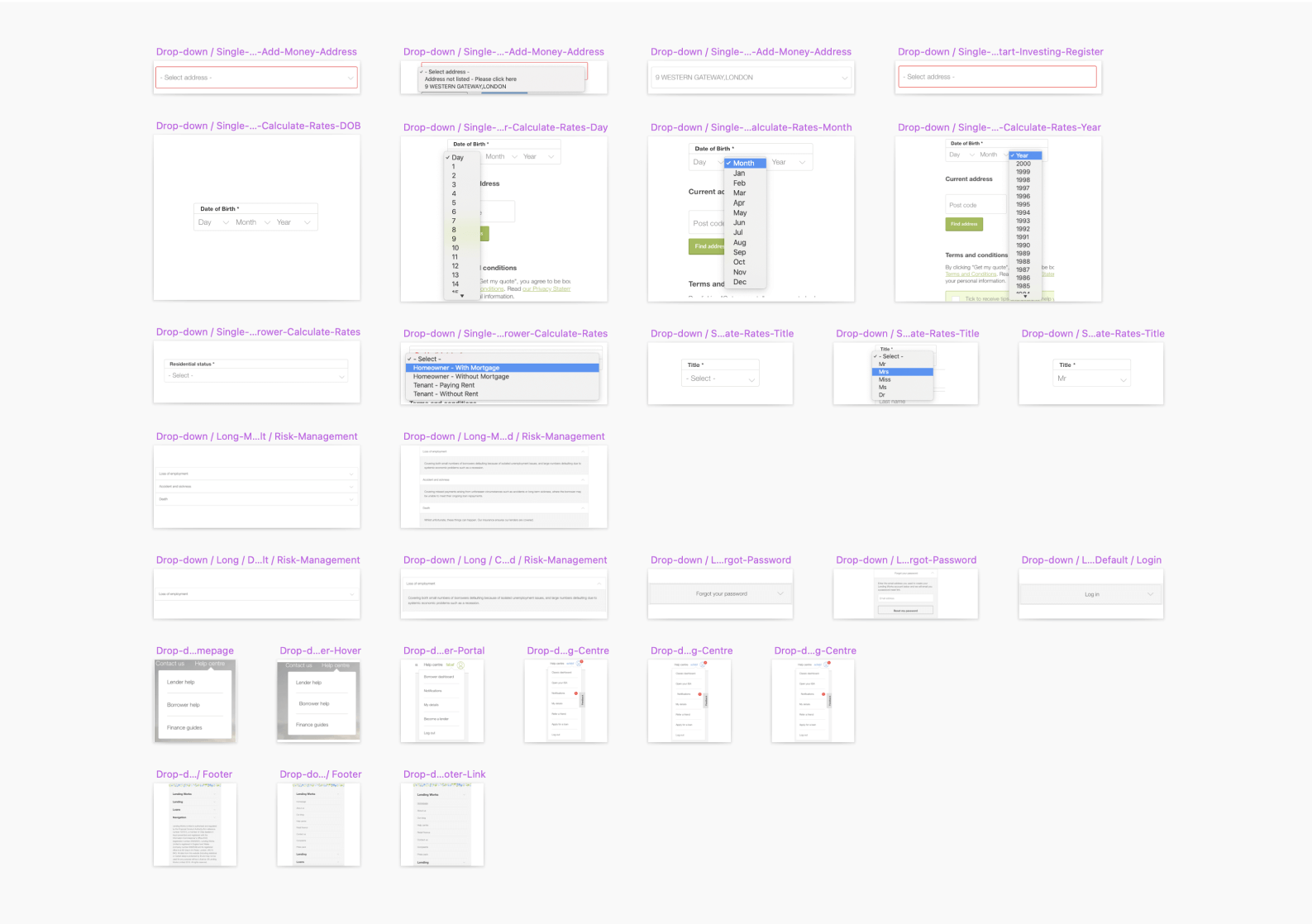 fluro-design-system-screenshot-15